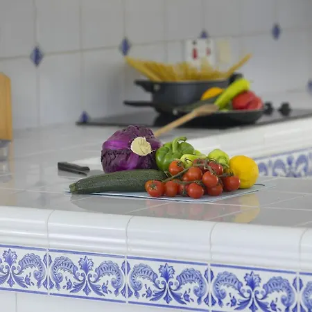 Mazeri * プロタラス