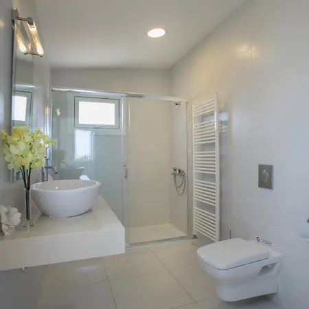 Mazeri * プロタラス