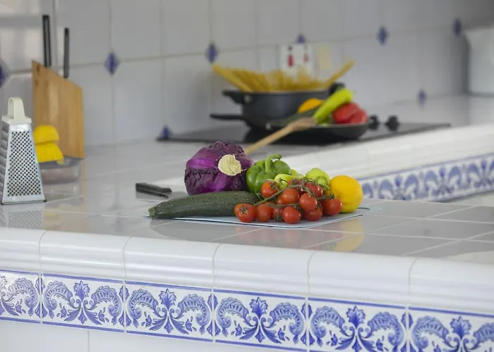 Mazeri * プロタラス